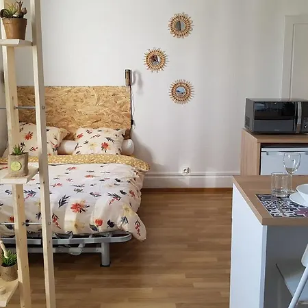 Nid Douillet Place Stanislas +parking Gratuit+wifi Appartement