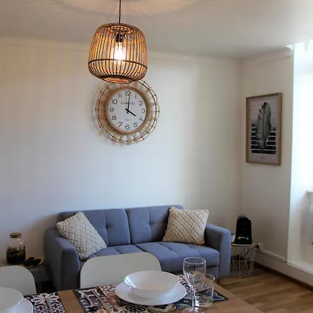 Nid Douillet Place Stanislas +parking Gratuit+wifi Appartement Nancy